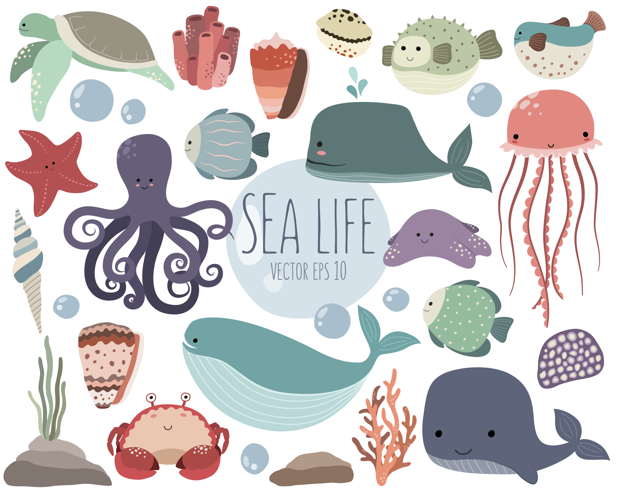 25枚可爱海洋生物矢量插画